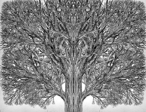 Scuola del Bene e del Male. L'Unico Vero Re. Libro 6